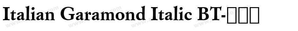 Italian Garamond Italic BT字体转换
